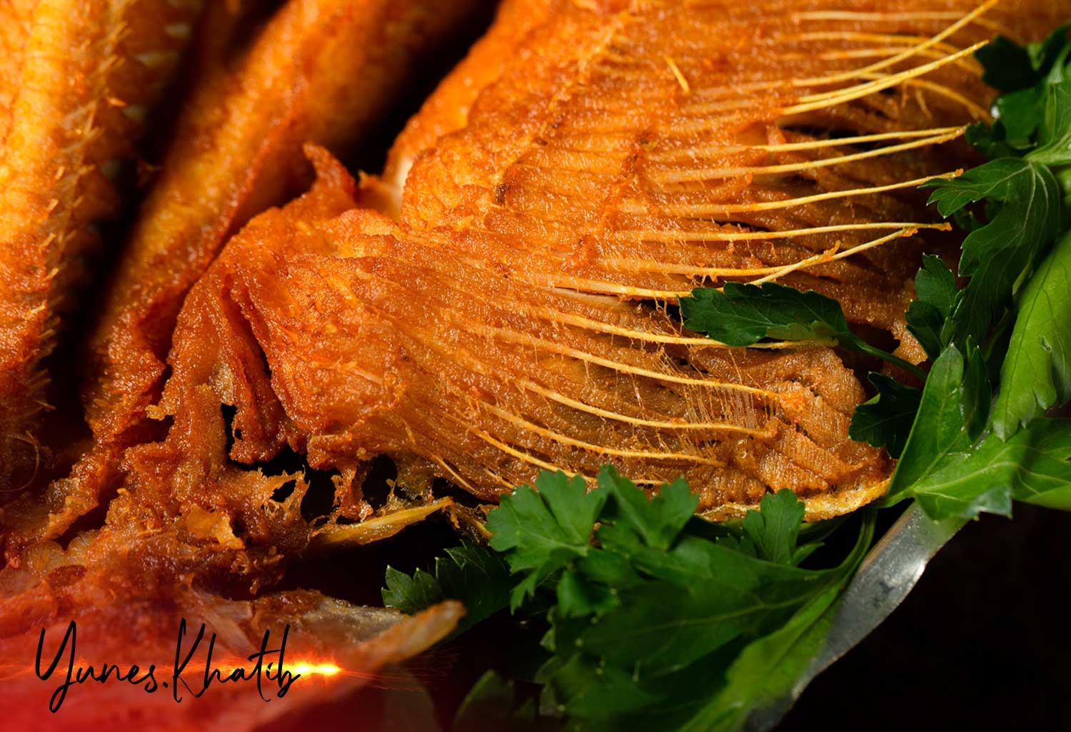 عکاسی تبلیغاتی غذا